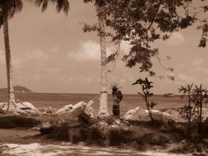 IMG_2984